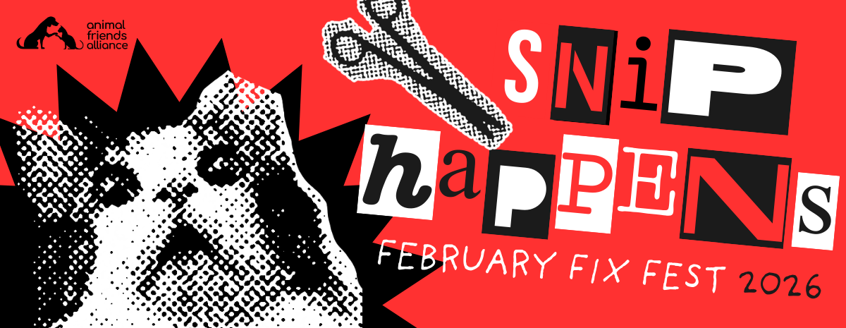 February Fix Fest 2026